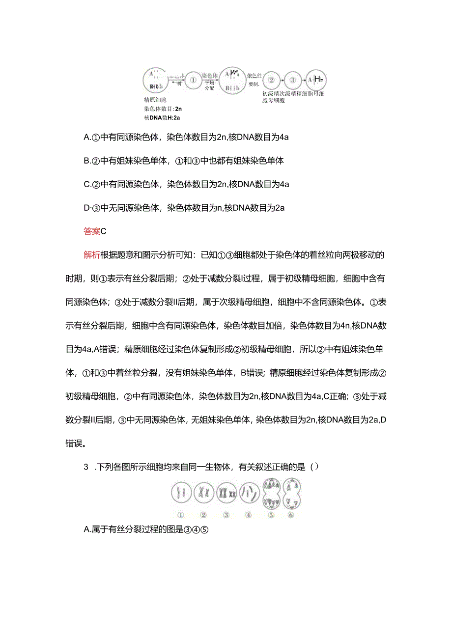 2023-2024学年 人教版 必修二 细胞分裂图像判定、受精作用 作业.docx_第3页