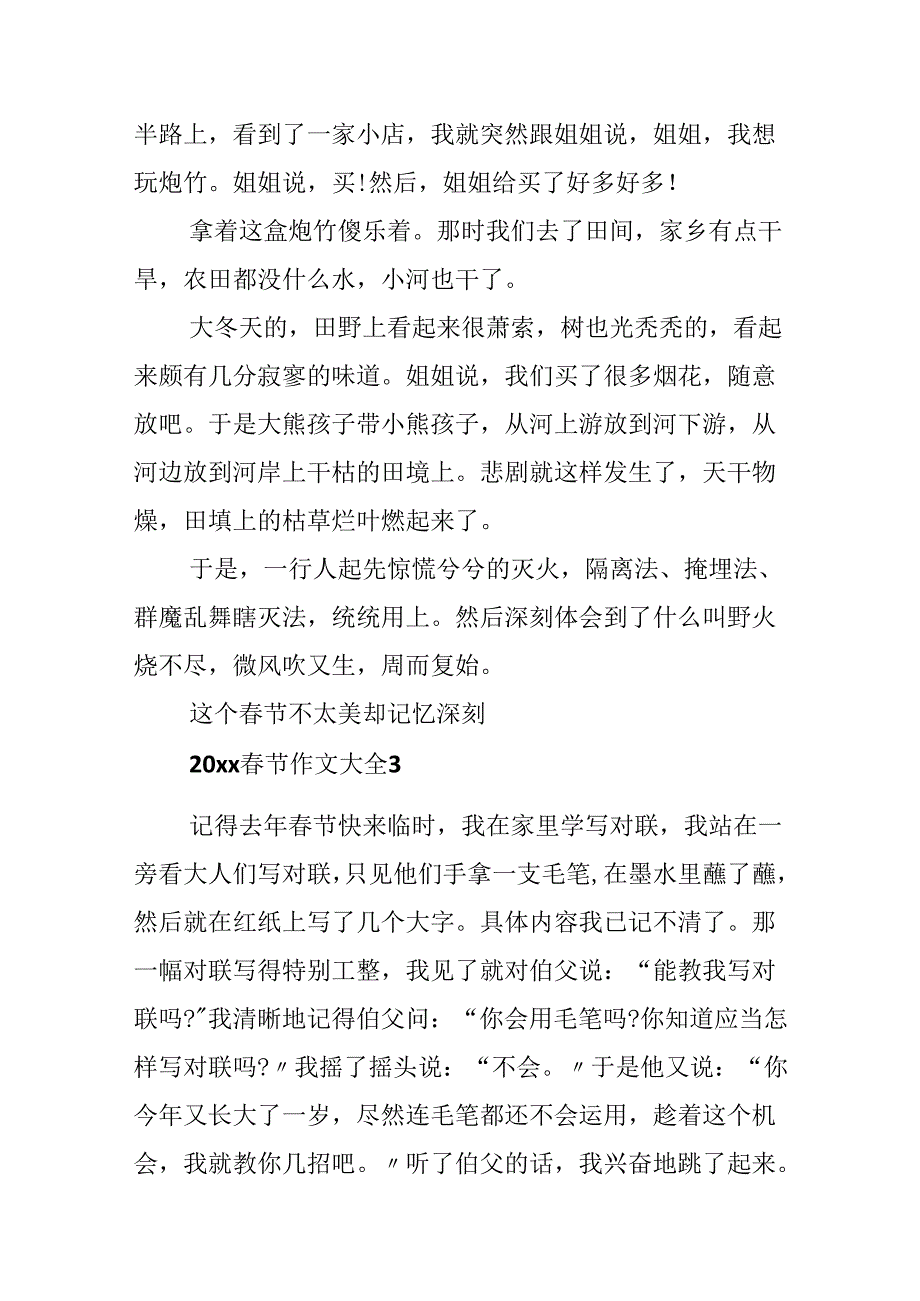 20xx春节作文大全.docx_第3页