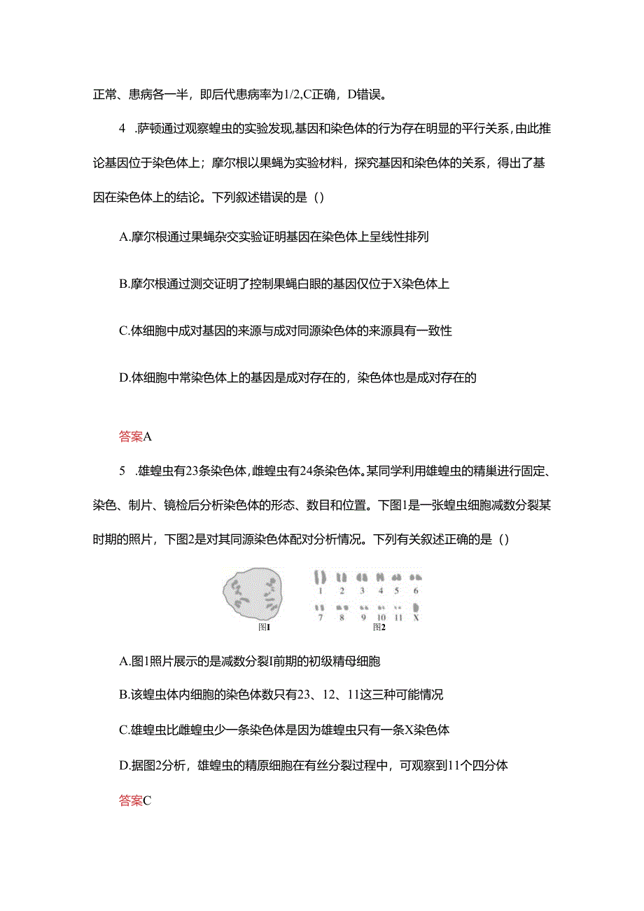 2023-2024学年 人教版 必修二 基因和染色体的关系 作业.docx_第3页