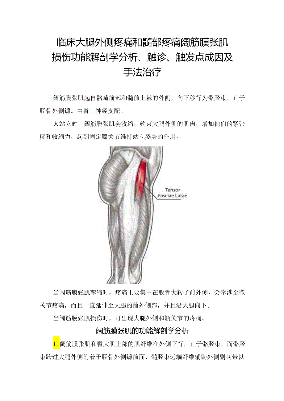 临床大腿外侧疼痛和髋部疼痛阔筋膜张肌损伤功能解剖学分析、触诊、触发点成因及手法治疗.docx_第1页