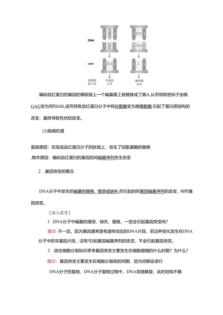 2023-2024学年 人教版 必修二基因突变和基因重组 学案.docx_第2页