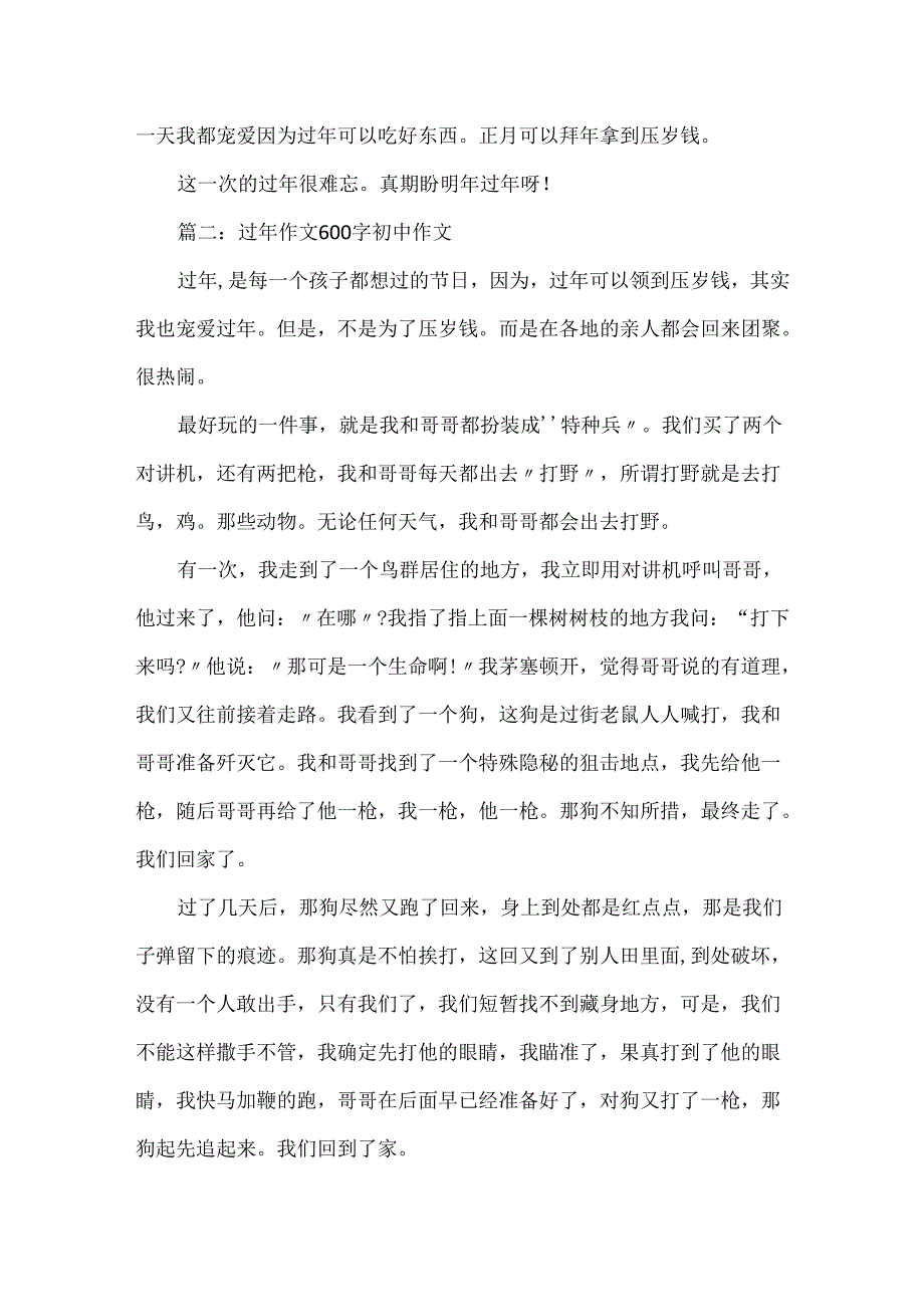 20xx春节过年作文600字初中5篇精选.docx_第2页