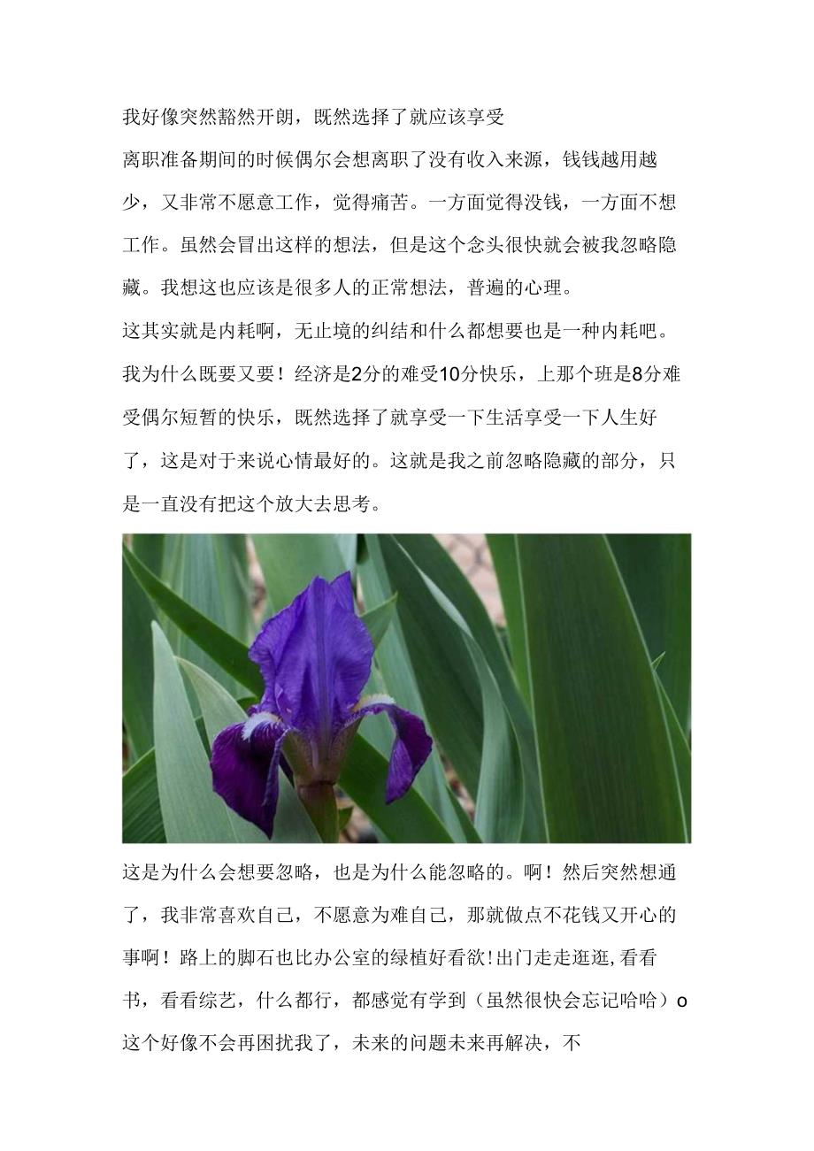 我好像突然豁然开朗既然选择了就应该享受.docx_第1页