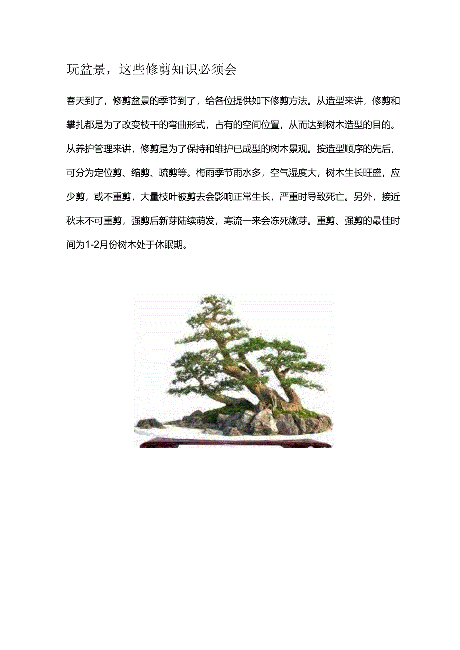 玩盆景这些修剪知识必须会.docx_第1页