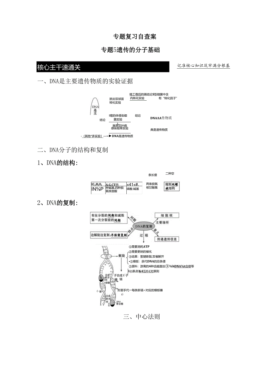 专题复习自查案专题 遗传的分子基础知识点梳理汇总.docx_第1页