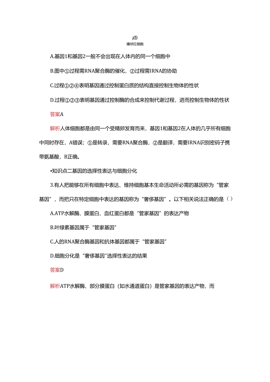 2023-2024学年 人教版 必修二 基因表达与性状的关系 作业.docx_第2页