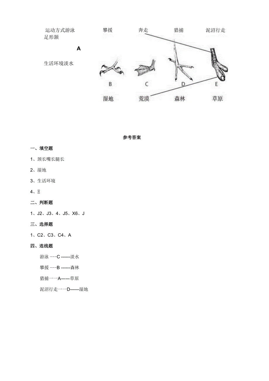 小学科学粤教粤科版六年级下册《丹顶鹤生活在哪里》练习（含答案）.docx_第3页