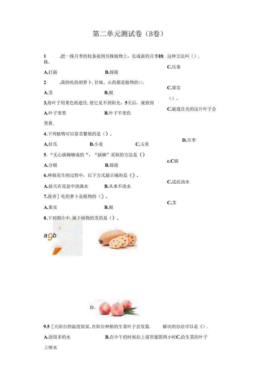 冀人版科学四年级下册第二单元植物的生长与繁殖分层训练（B卷提升篇）.docx_第1页