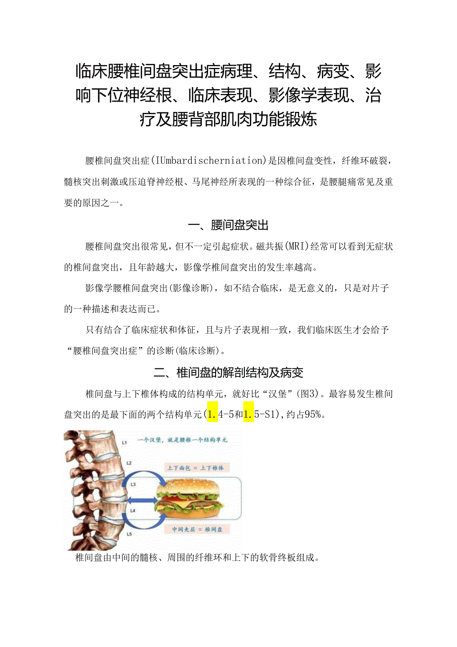 临床腰椎间盘突出症病理、结构、病变、影响下位神经根、临床表现、影像学表现、治疗及腰背部肌肉功能锻炼.docx_第1页