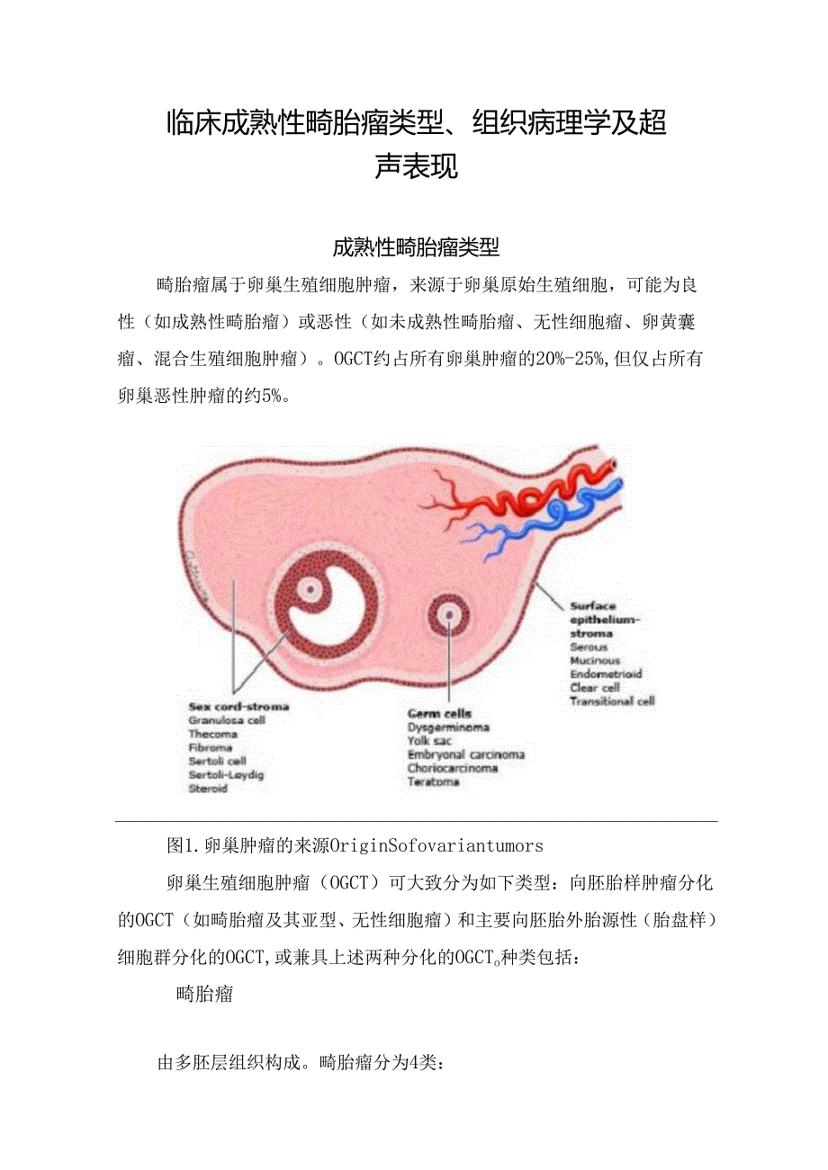 临床成熟性畸胎瘤类型、组织病理学及超声表现.docx_第1页