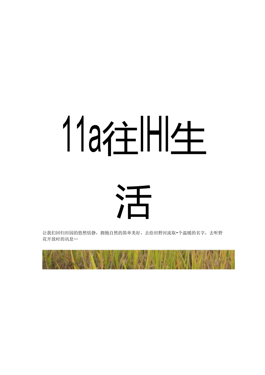 2023公司亲子休闲团建家庭日（向往的生活主题）活动策划方案-45正式版.docx_第3页