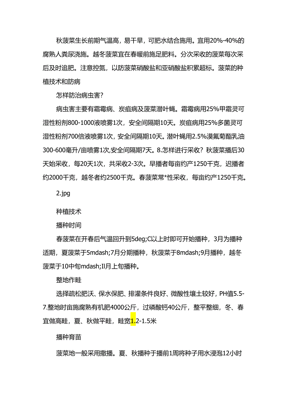 菠菜的种植技术与管理方法.docx_第2页