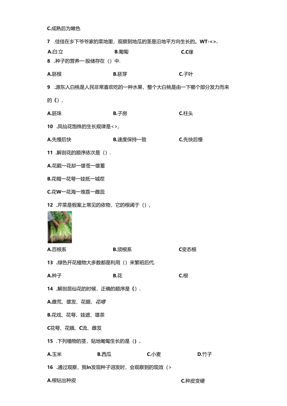 教科版科学四年级下册第一单元植物的生长变化分层训练（B卷提升篇）.docx_第3页