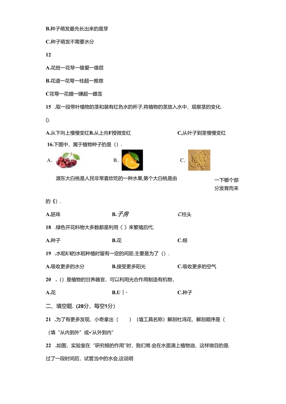 教科版科学四年级下册第一单元植物的生长变化分层训练（A卷基础篇）.docx_第3页