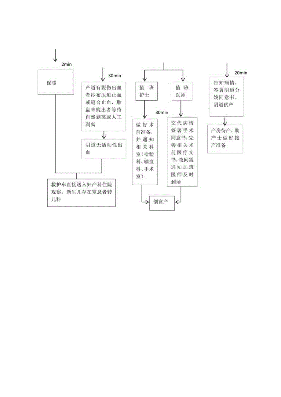 急诊分娩急诊服务流程(最新).docx_第3页