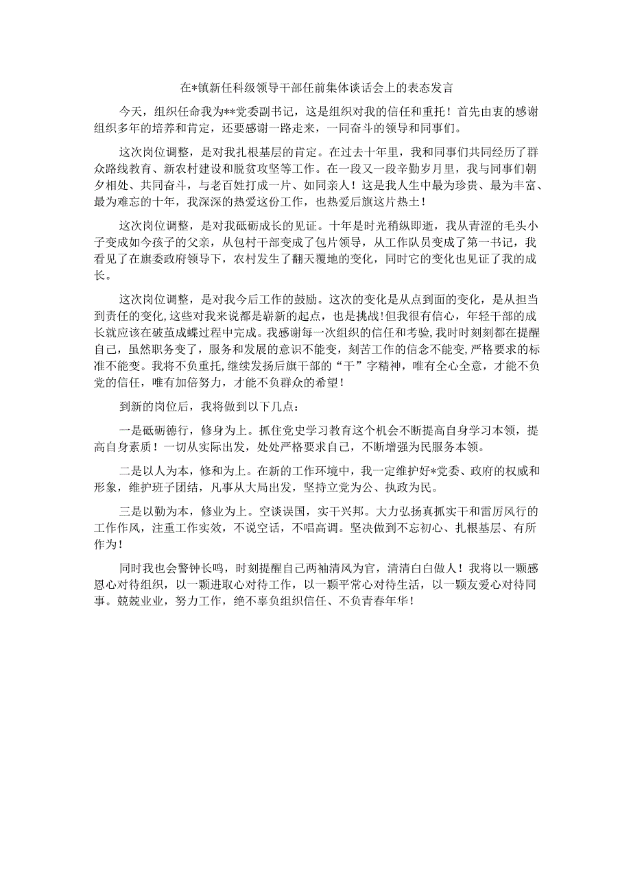 在镇新任科级领导干部任前集体谈话会上的表态发言（5篇）.docx_第3页