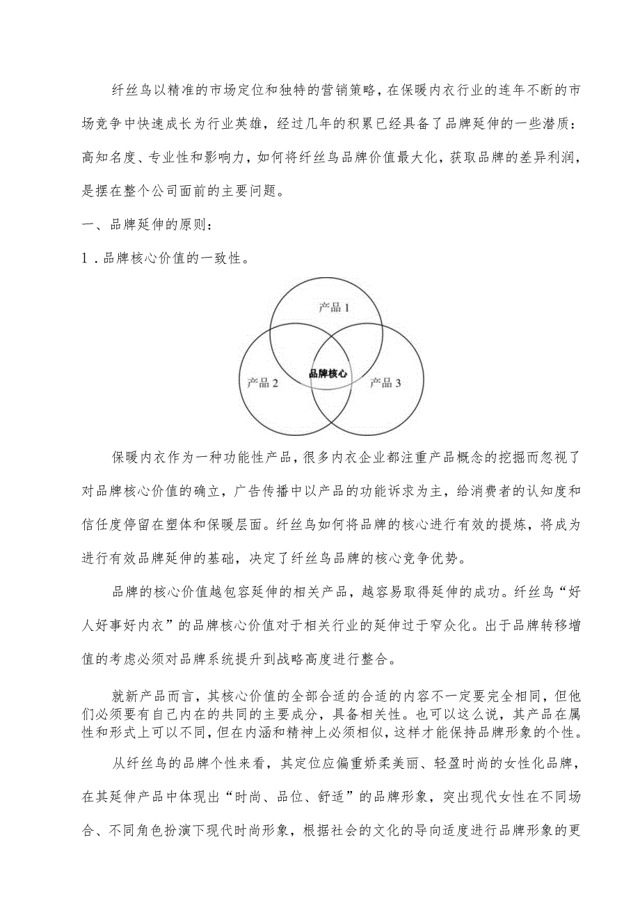 X科技发展企业品牌延伸方案（DOC 9页）.docx_第2页