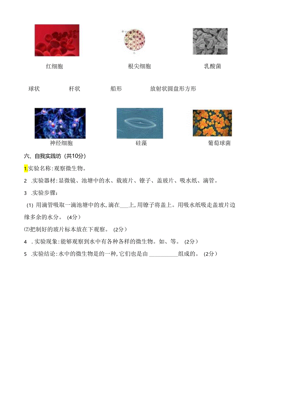 苏教版小学科学五年级下册期中测试卷(二)及答案.docx_第2页