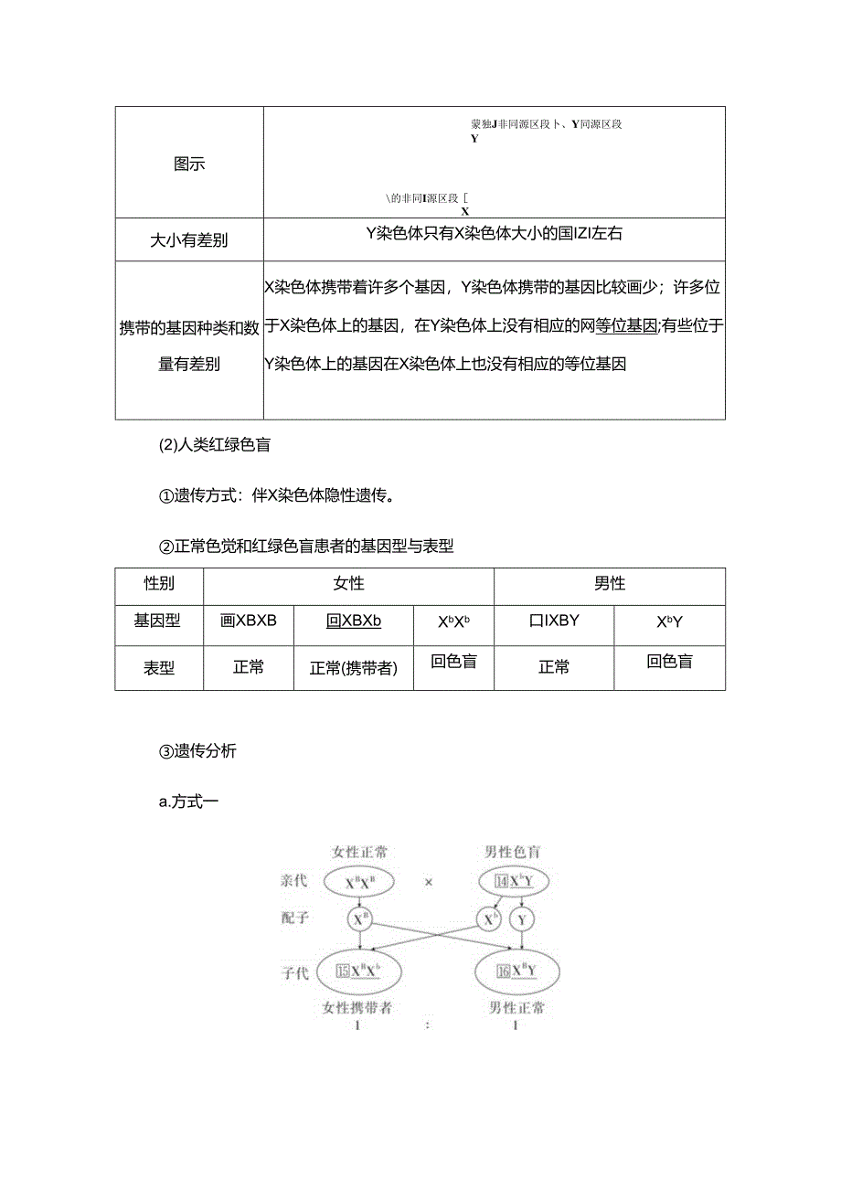 2023-2024学年 人教版 必修二 伴性遗传 学案.docx_第2页