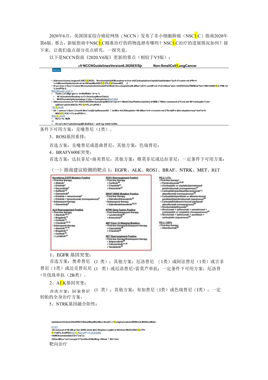 NCCN非小细胞肺癌指南 精准引领NSCLC治疗进阶之路（解读）.docx_第1页