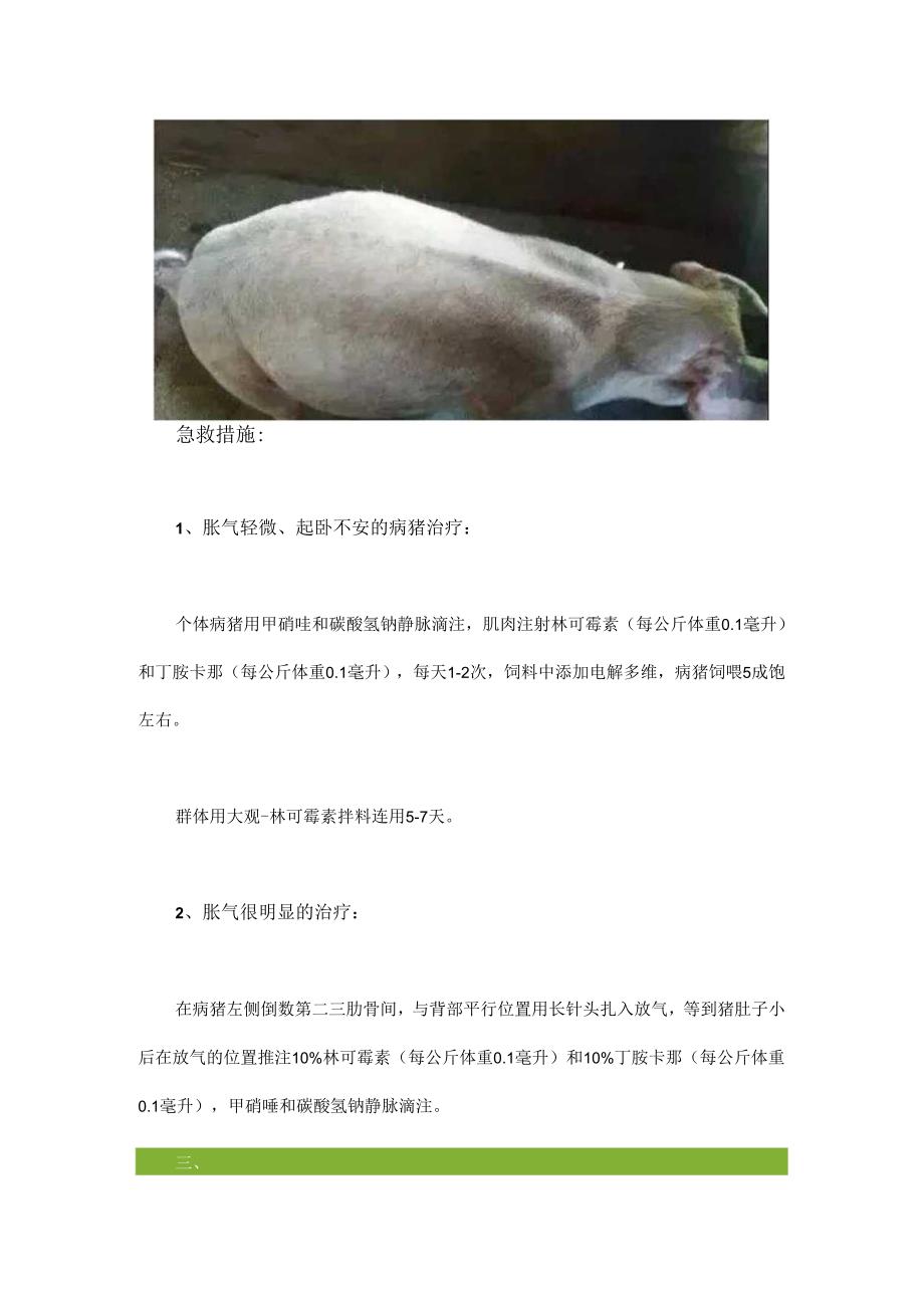 夏季猪多发疾病的急救措施.docx_第3页