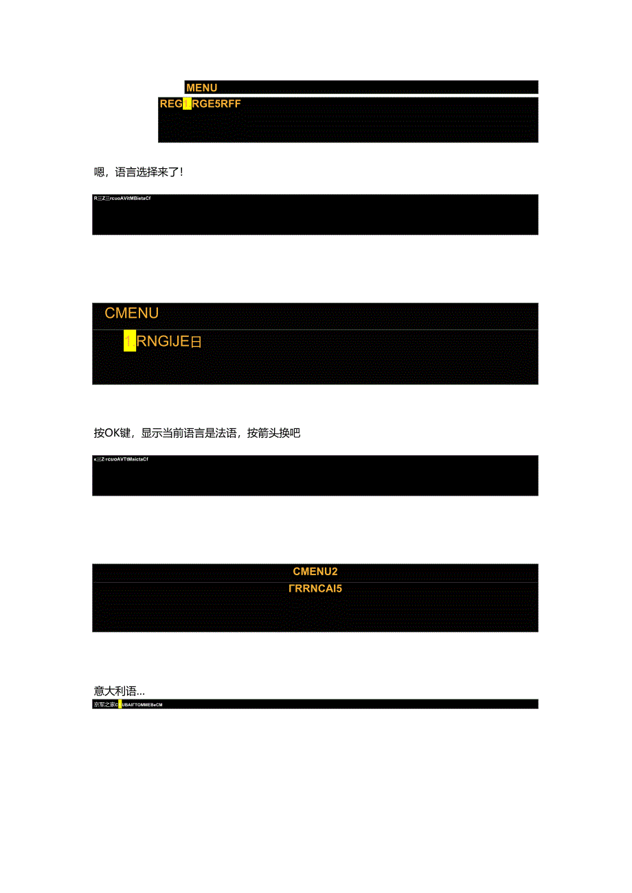 307行车电脑英文调整设置说明.docx_第2页