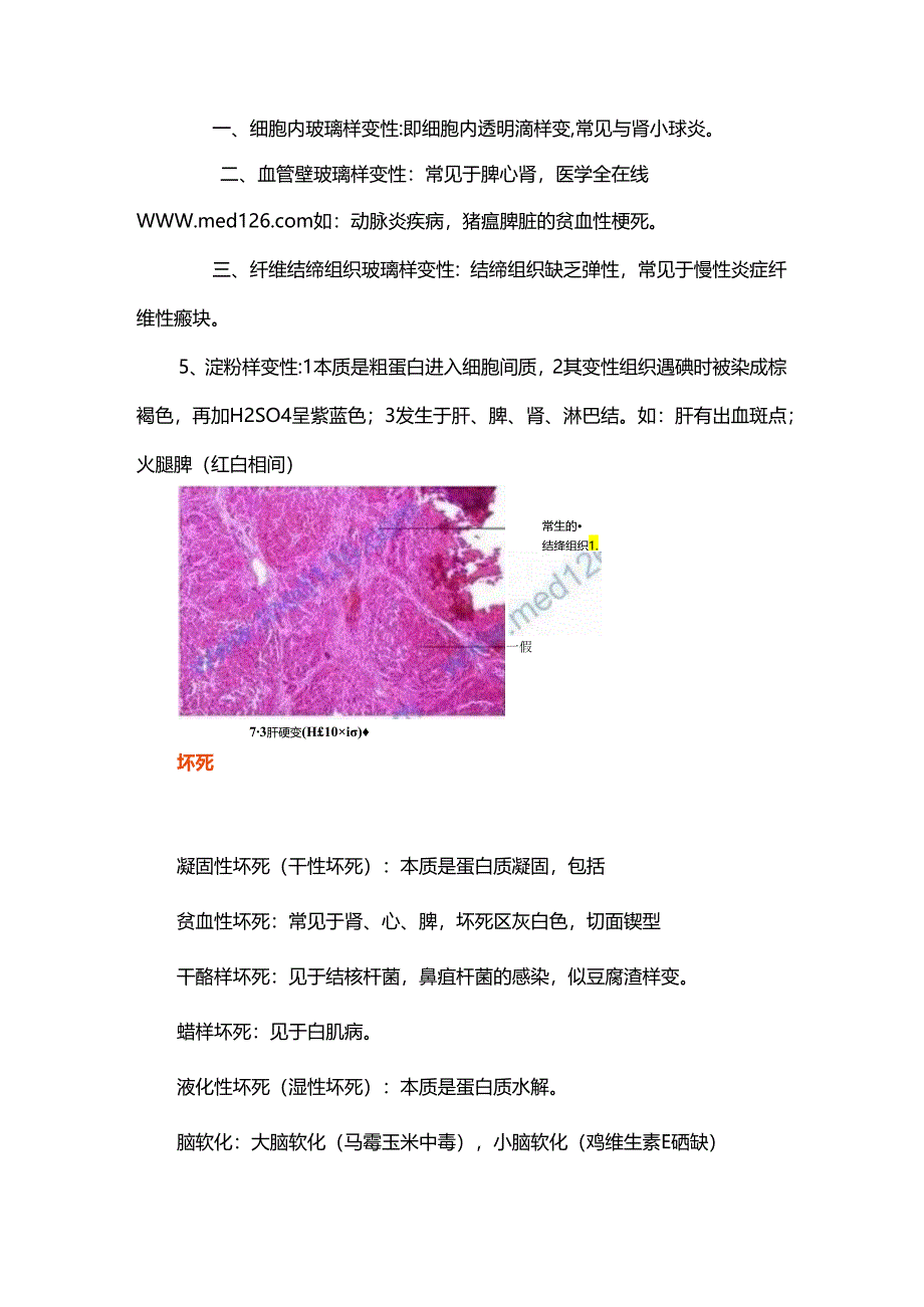 执业兽医考试“兽医病理学”辅导笔记.docx_第3页