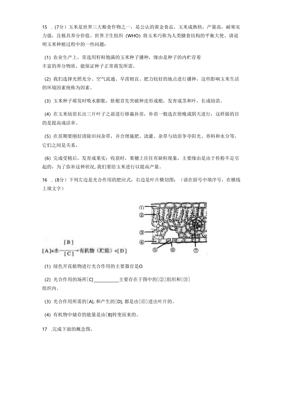 3.2被子植物的一生课后练习(有答案).docx_第3页