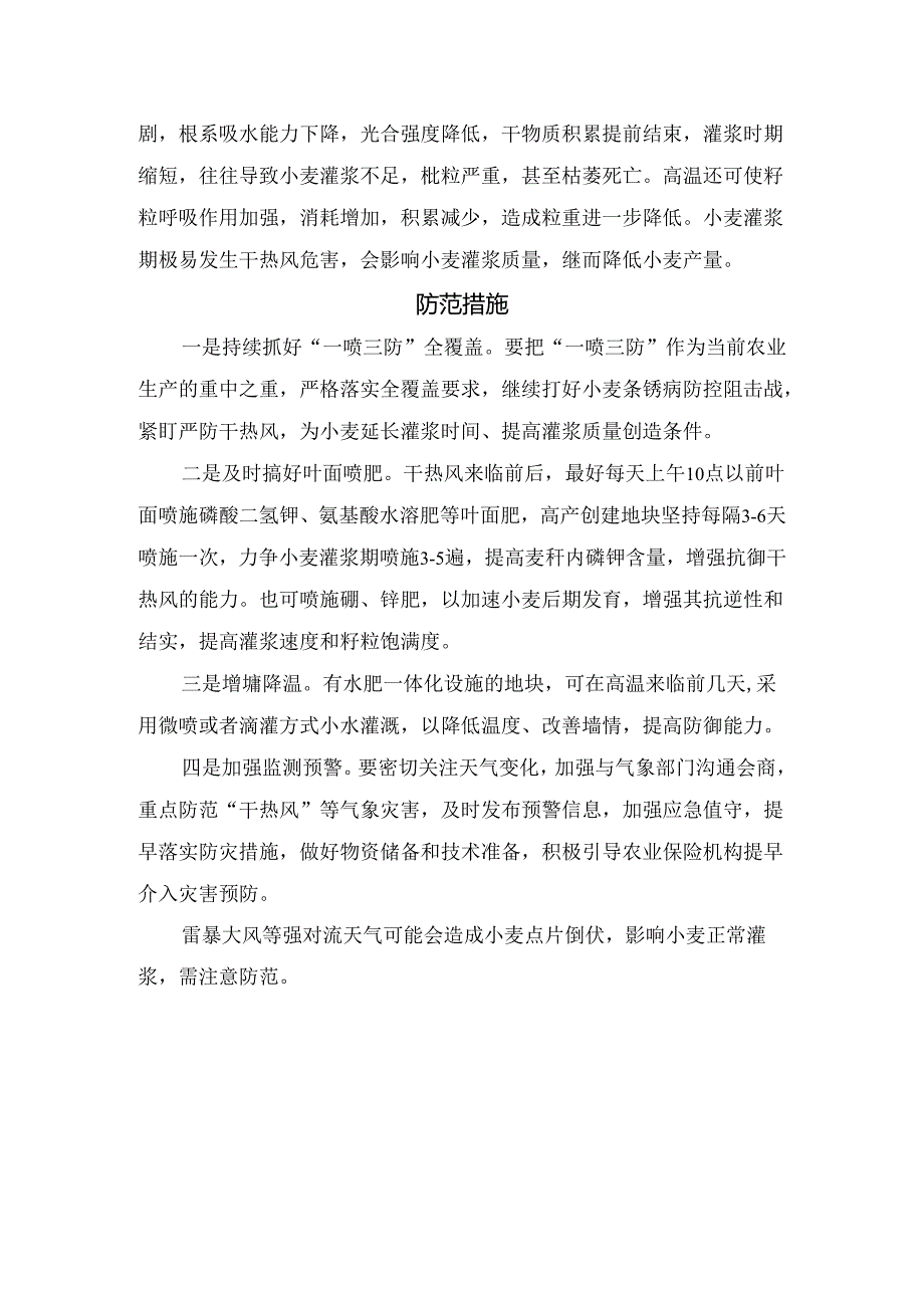 农业生产小麦灌浆后期枯白穂现象原因、因素、药剂防治及小麦干热风和防范措施.docx_第3页