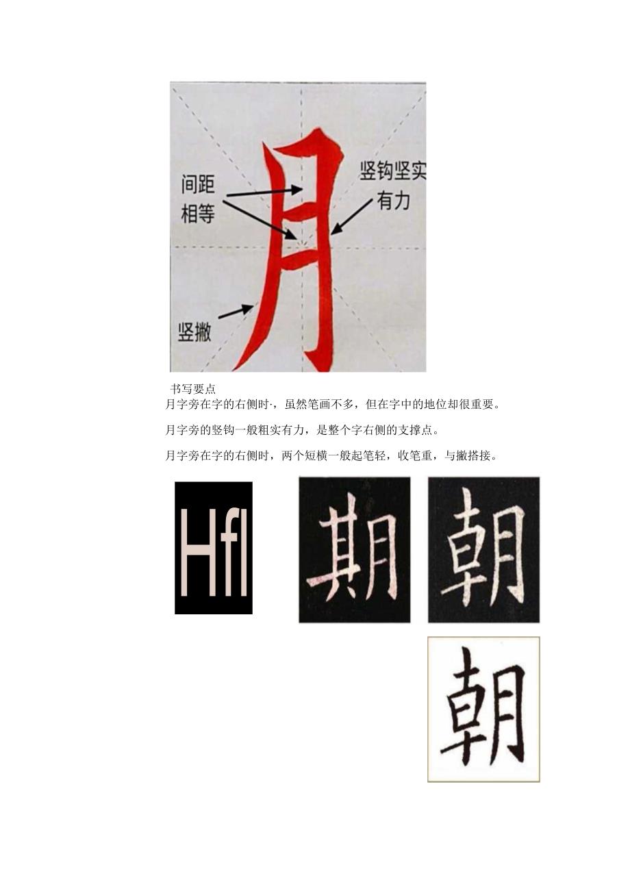 第3课《月字旁》教案 四年级下册书法北师大版.docx_第2页