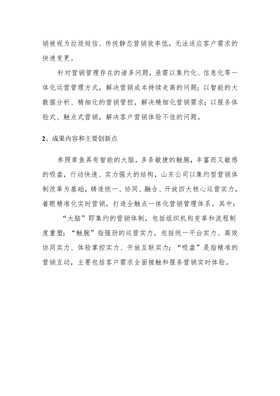 4、山东公司-全触点一体化营销管理体系建设实践要点.docx_第2页