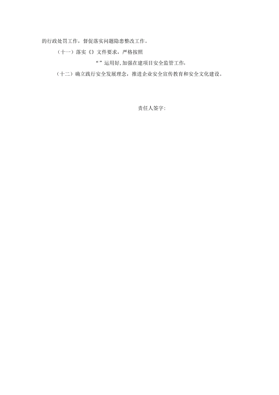 建筑施工企业安全总监安全生产岗位责任制模板.docx_第2页