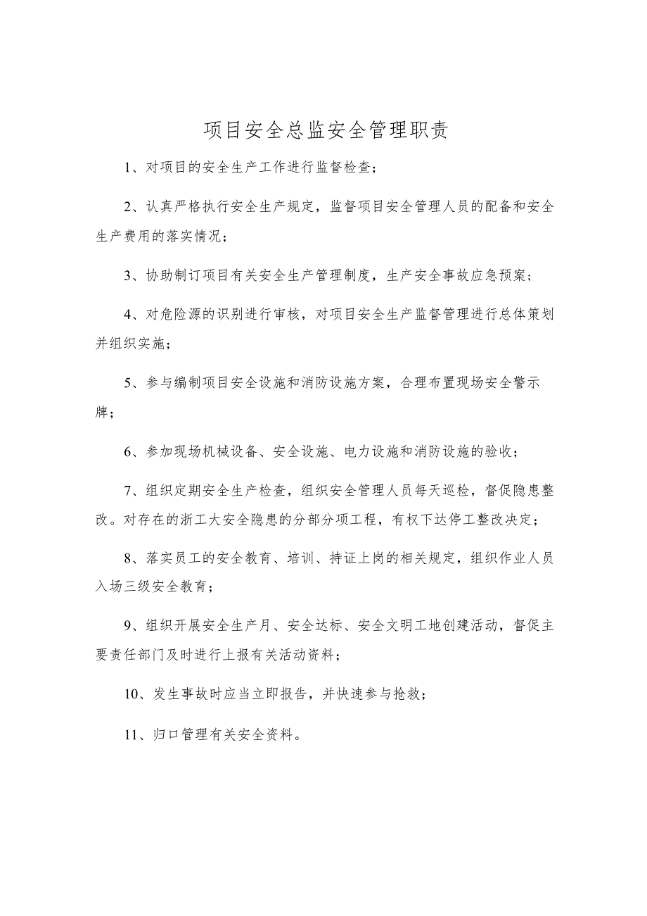 项目安全总监安全管理职责.docx_第1页