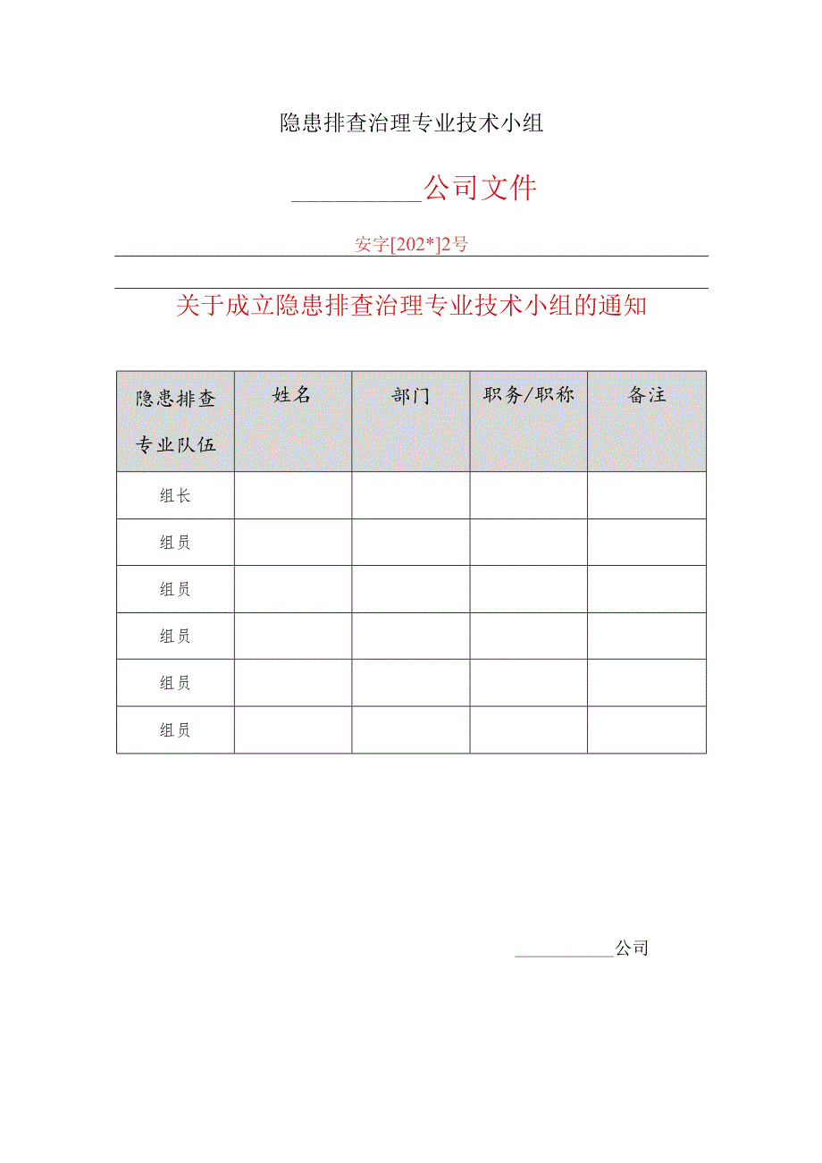 隐患排查治理专业技术小组(B)模板.docx_第1页