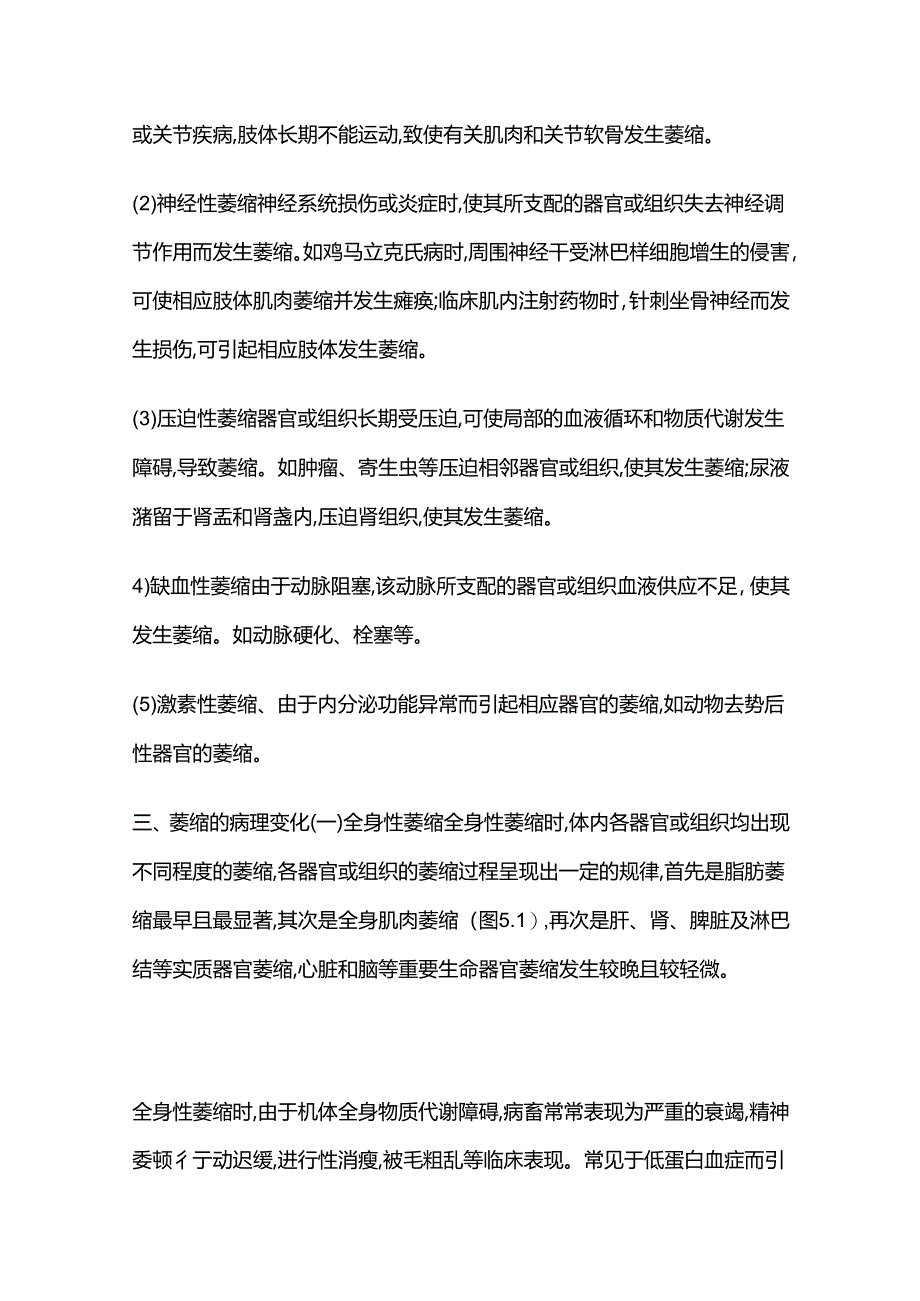 细胞组织 基础病理 畜牧兽医证书考试考点全套.docx_第3页