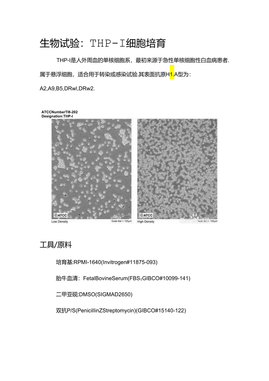 THP-1 细胞培养.docx_第1页