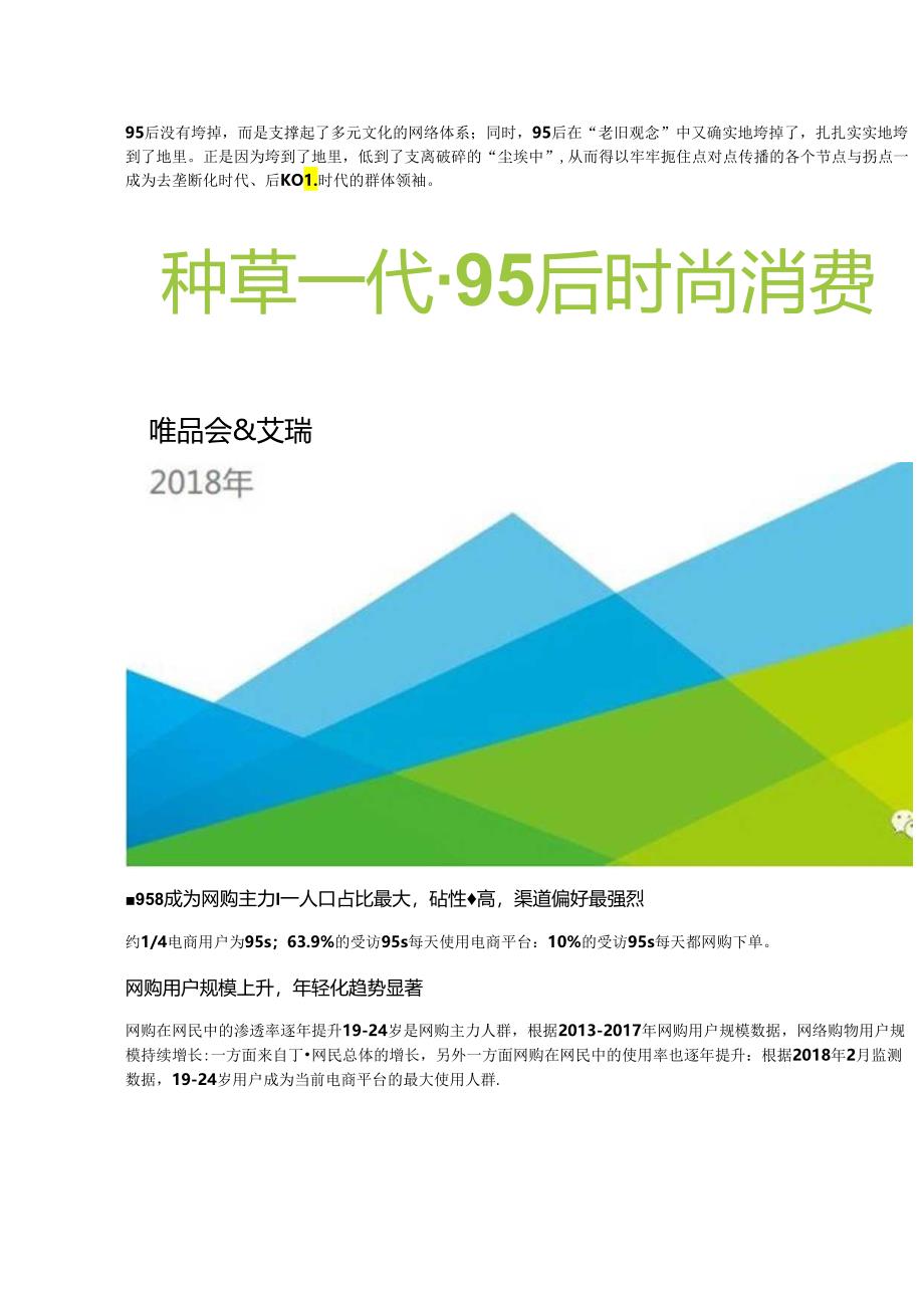 95后时尚消费报告约14电商用户为95后.docx_第1页