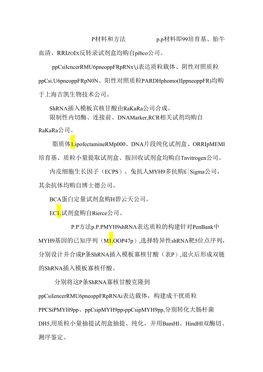 RNA干扰技术抑制人内皮细胞非肌肉肌球蛋白重链ⅡA（MYH9）表达.docx_第3页