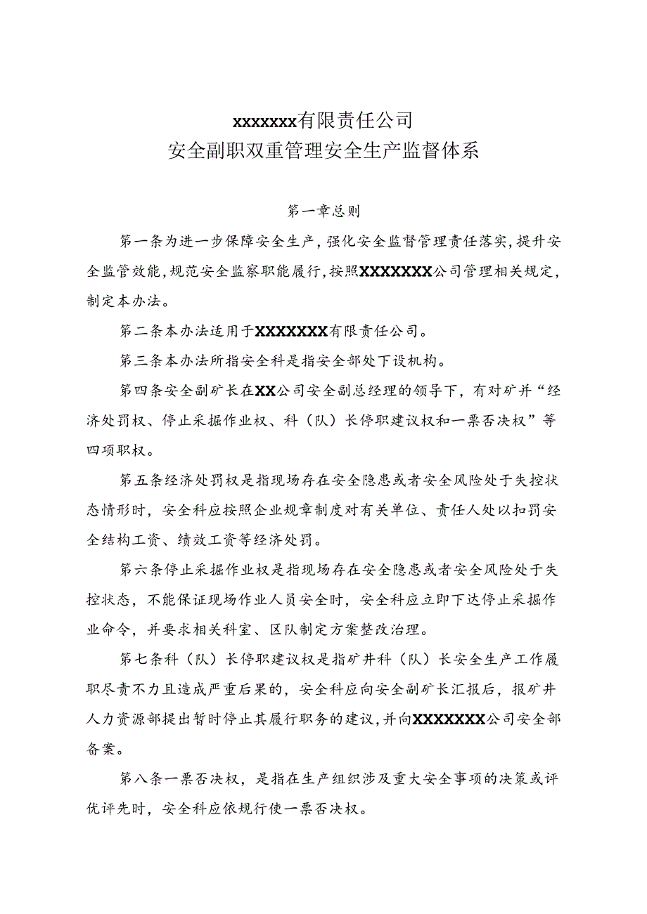 煤矿安全副职双重管理安全生产监督体系.docx_第1页