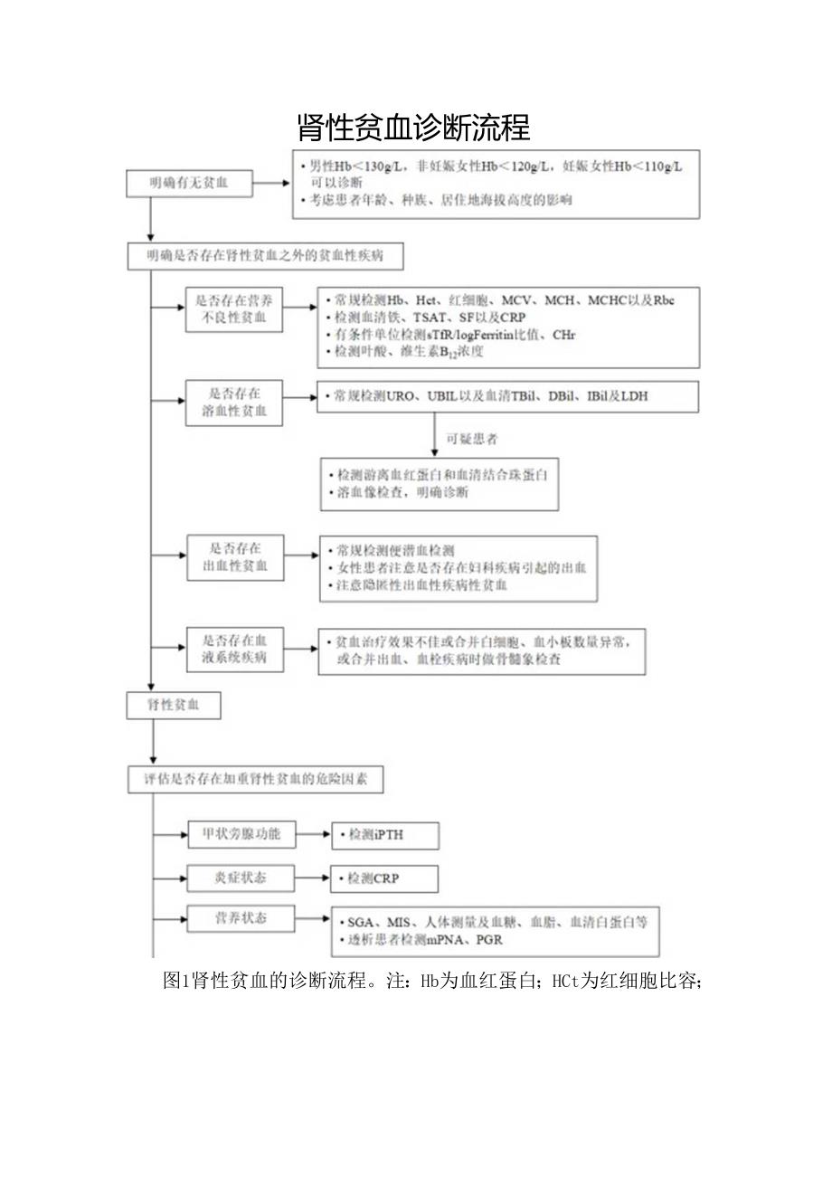 肾性贫血诊断流程.docx_第1页