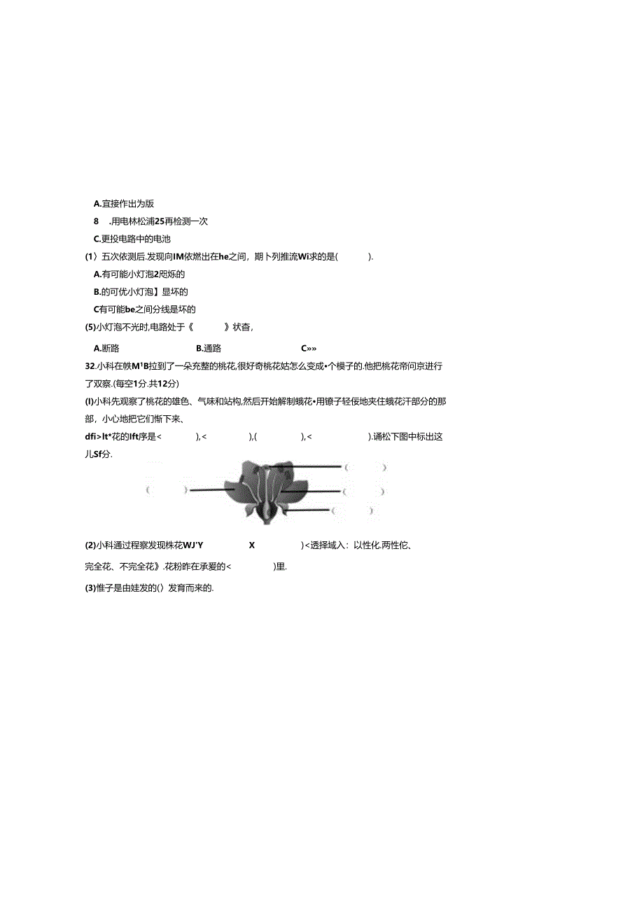 四年级下册科学期末测试模拟卷（教科版 ）.docx_第3页