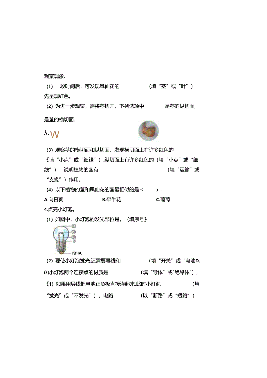 教科版2023--2024学年度第二学期四年级科学下册期末测试卷及答案.docx_第3页