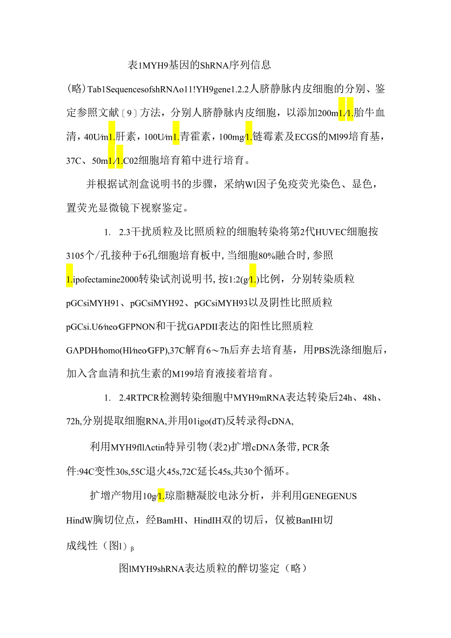 RNA干扰技术抑制人内皮细胞非肌肉肌球蛋白重链ⅡA（MYH9）表达的研究.docx_第2页