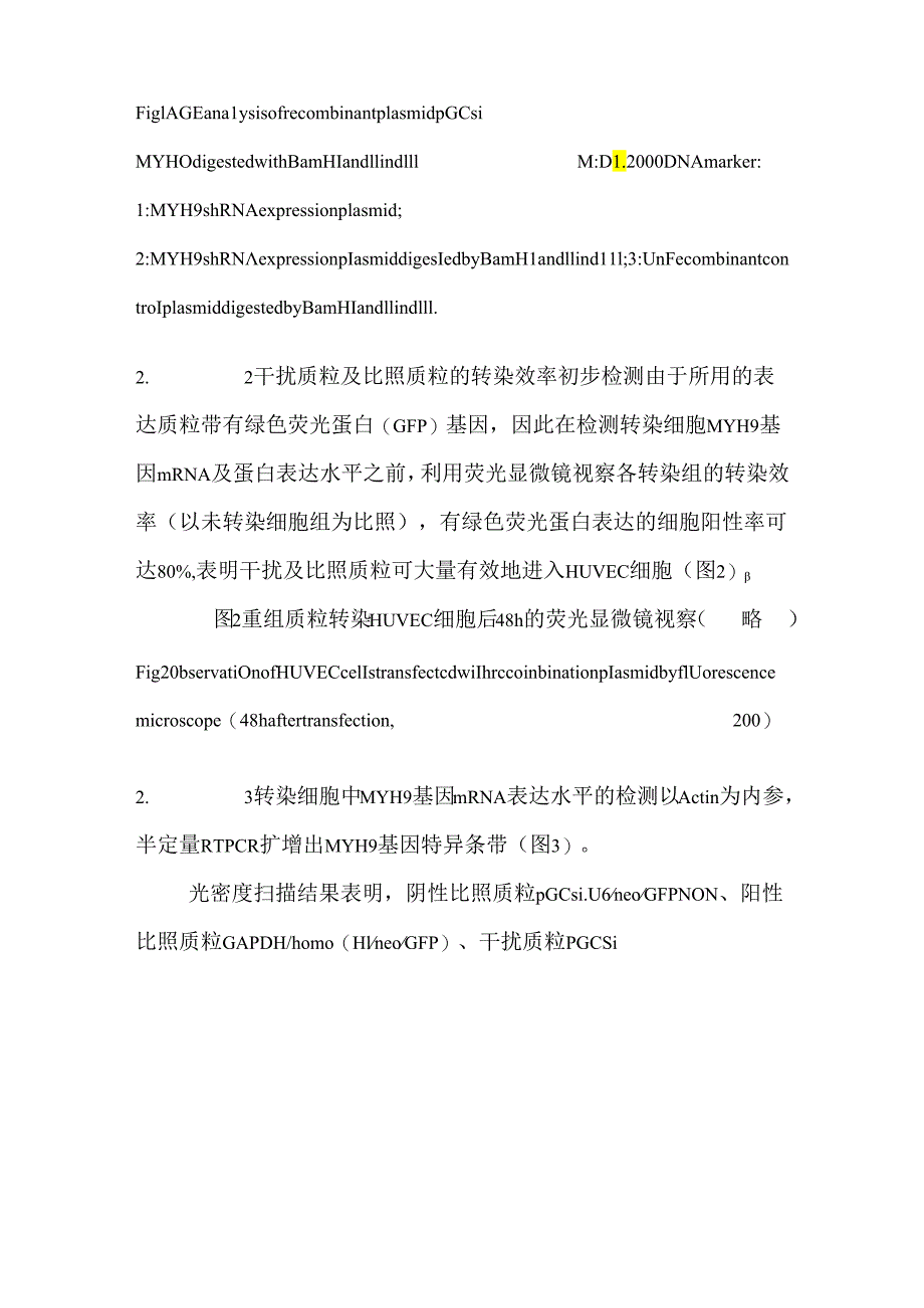 RNA干扰技术抑制人内皮细胞非肌肉肌球蛋白重链ⅡA（MYH9）表达的研究.docx_第3页