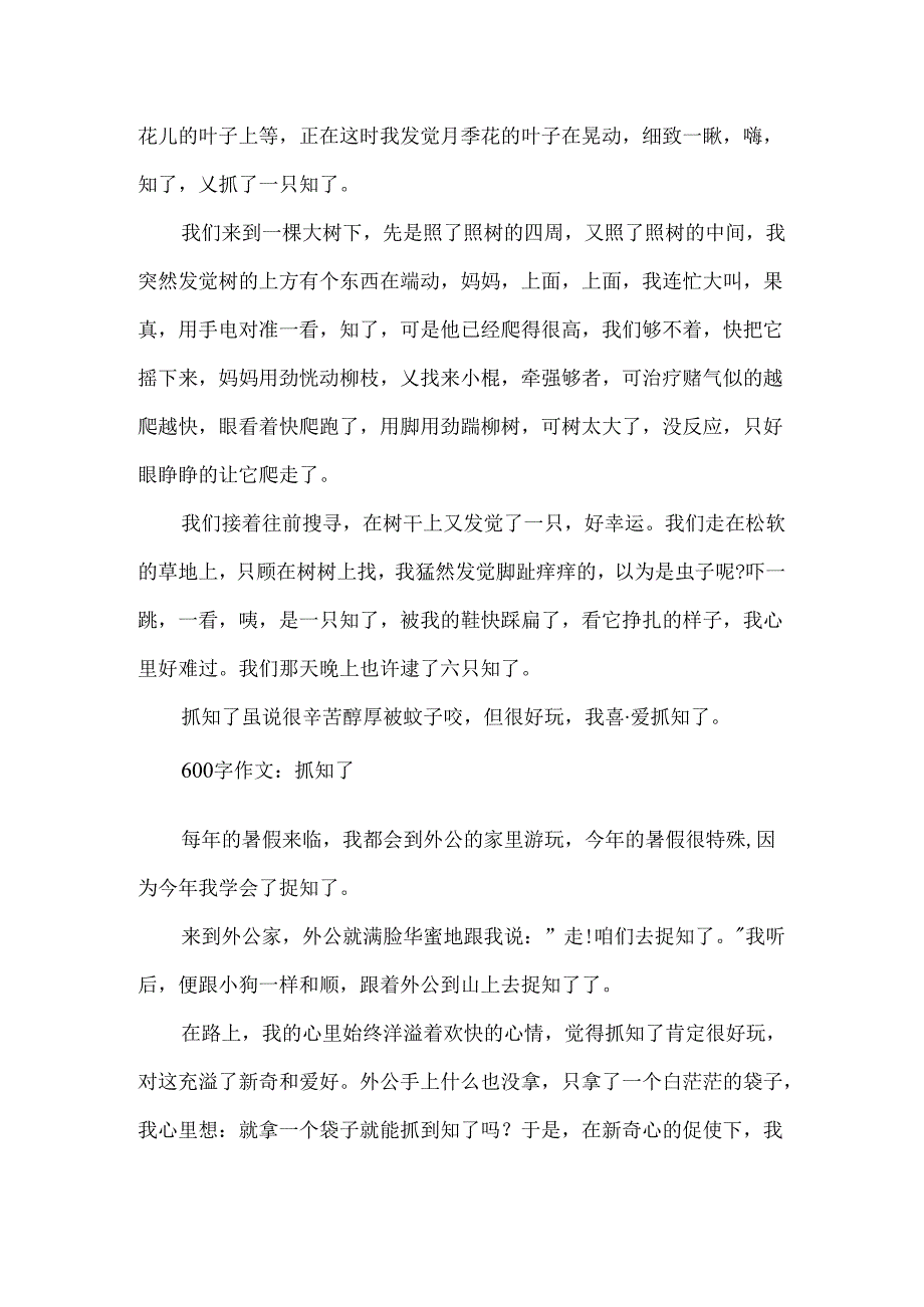 600字作文：抓知了.docx_第3页