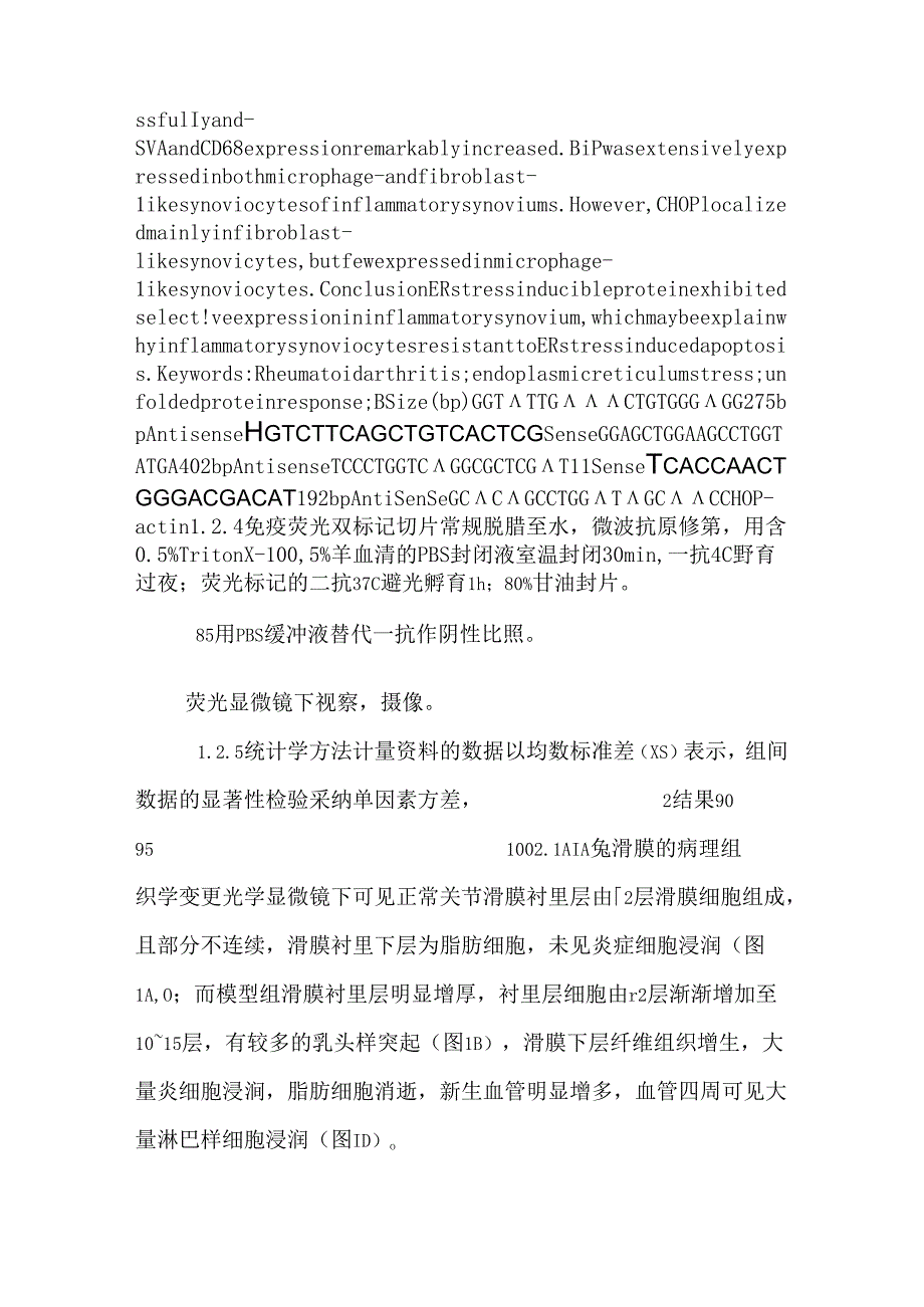 ER应激蛋白在免疫性关节炎滑膜中的表达.docx_第2页