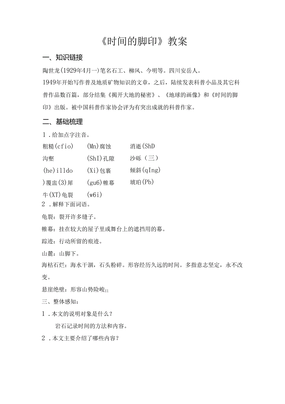 《时间的脚印》教案.docx_第1页