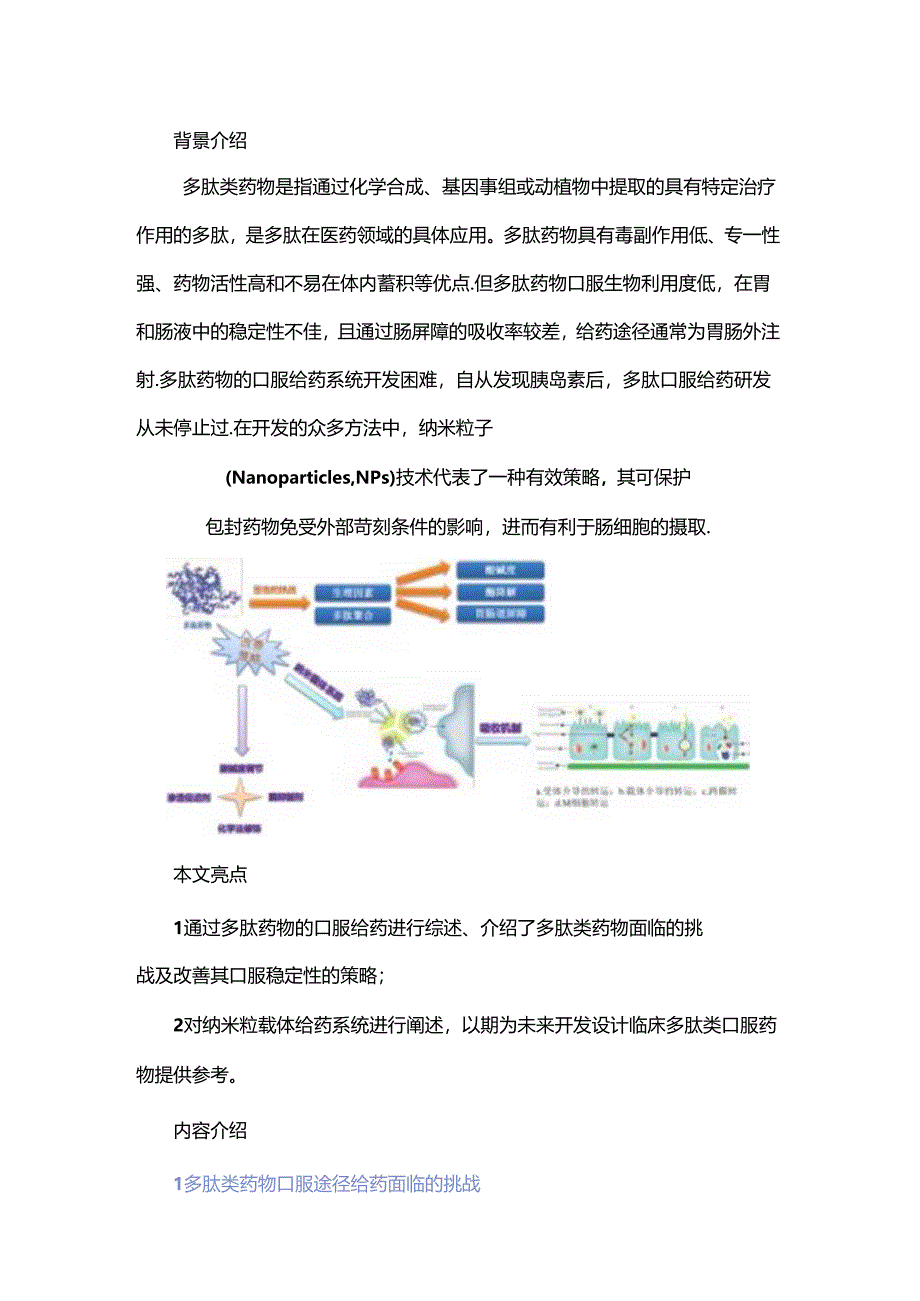 多肽药物口服给药稳定性研究进展.docx_第1页