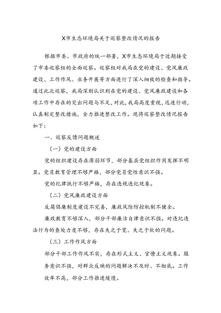 X市生态环境局关于巡察整改情况的报告.docx_第1页