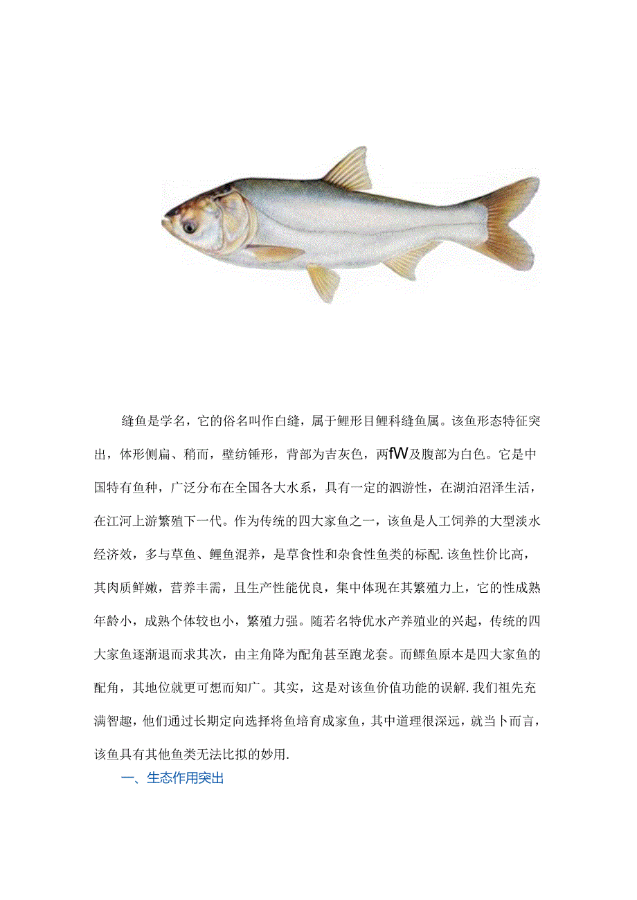 论鲢鱼的妙用.docx_第1页